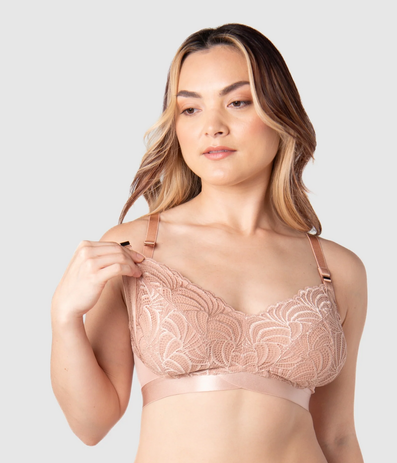 Hotmilk Wariorr  Bronze