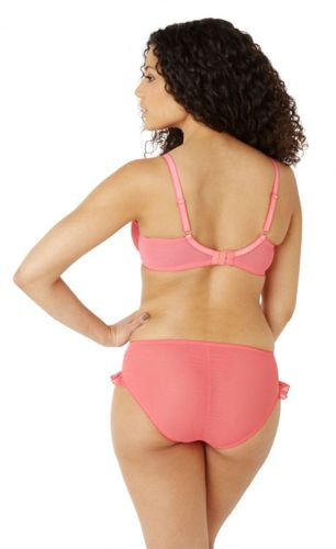 Cleo Kali brief coral