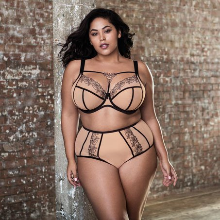 Elomi Tori
