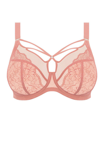 Elomi Brianna plunge bra - ash rose